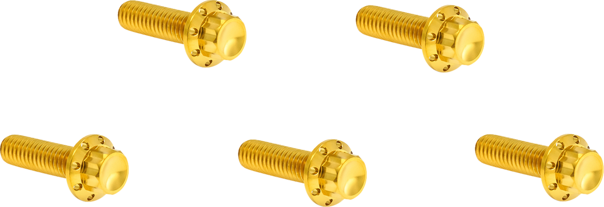 Derby Cover 12-Point Titanium Bolt Kit