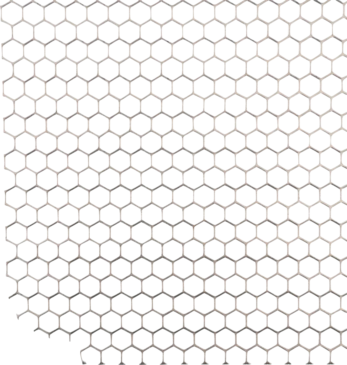 Outrider Radiator Guard