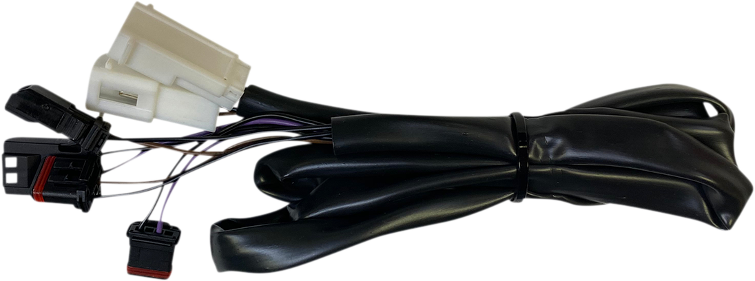 Taillight Harness - Low Rider
