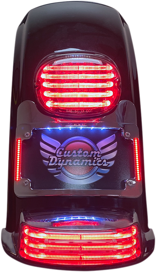 Turn Signal Eliminator With Tri Radius Illuminated Plate Frame