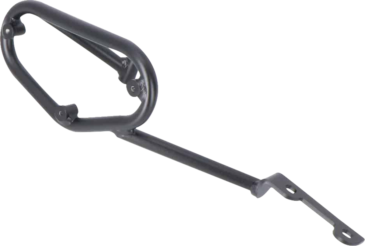 SLC Side Carrier - Right - Honda - CB1000R