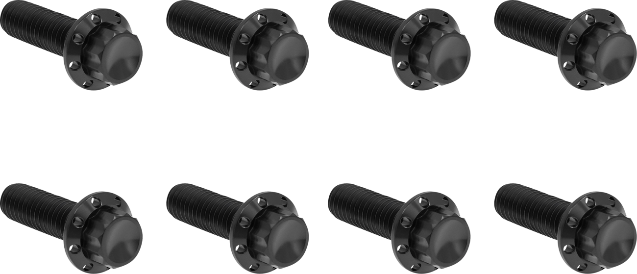 Transmission Trap Door Titanium 12-Point Bolt Kit — For M8 Models