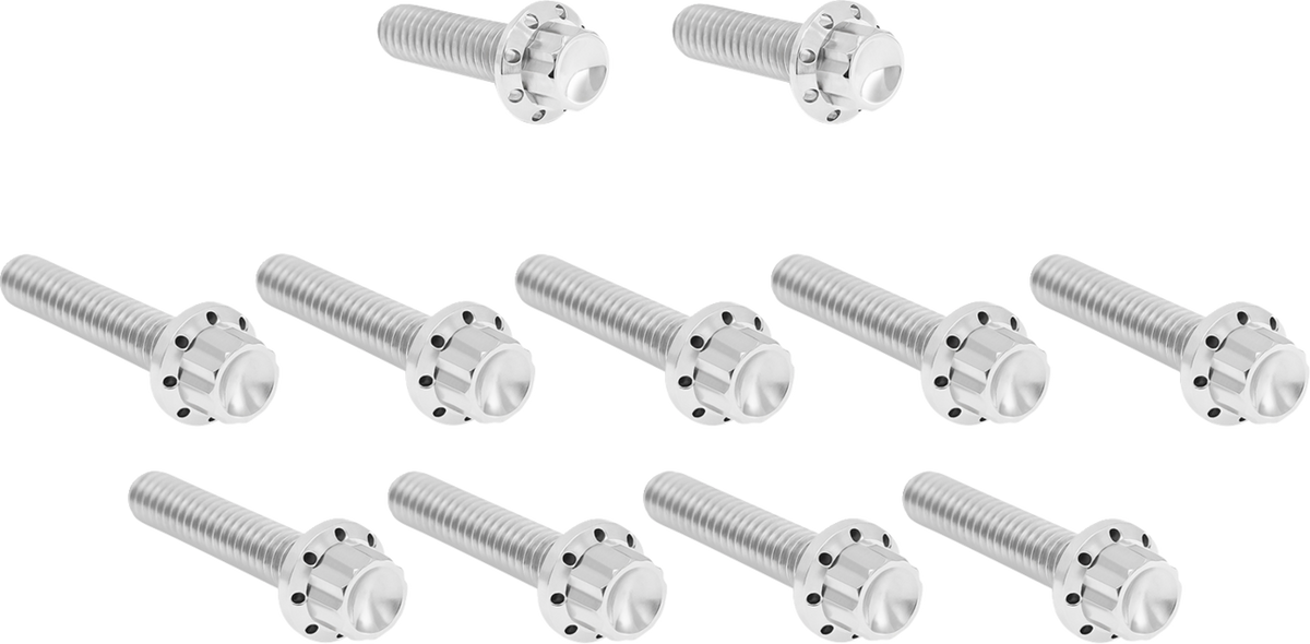 Bolt Kit - Cam Cover/Point Cover - Titanium - 12-Point - Polished