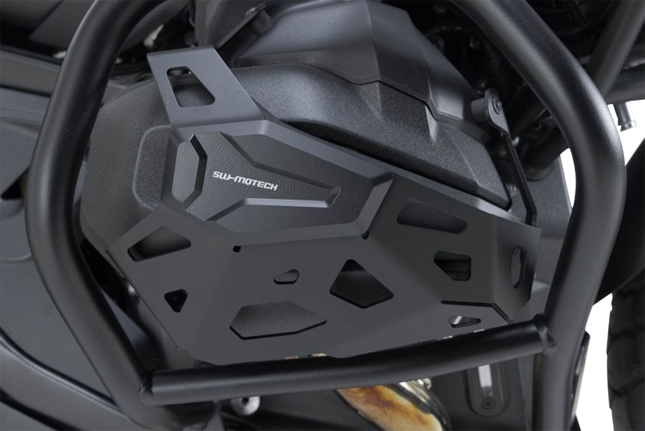 Cylinder Guard - Black - BMW - R