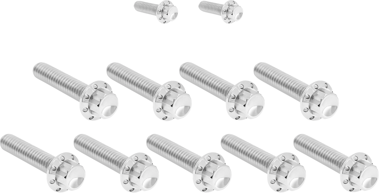 Bolt Kit - Cam Cover/Point Cover - Titanium - 12-Point - Polished