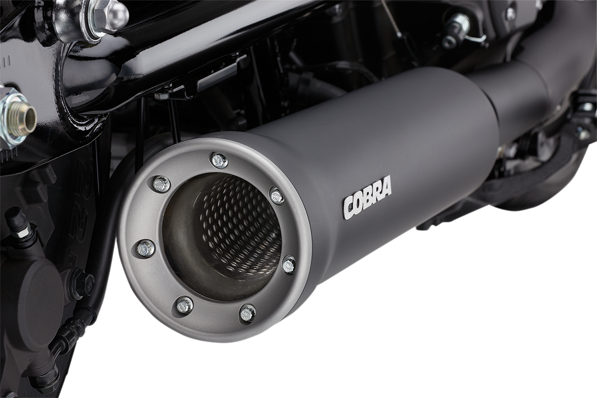 4" Slip-On Muffler - Black - XV950 Bolt