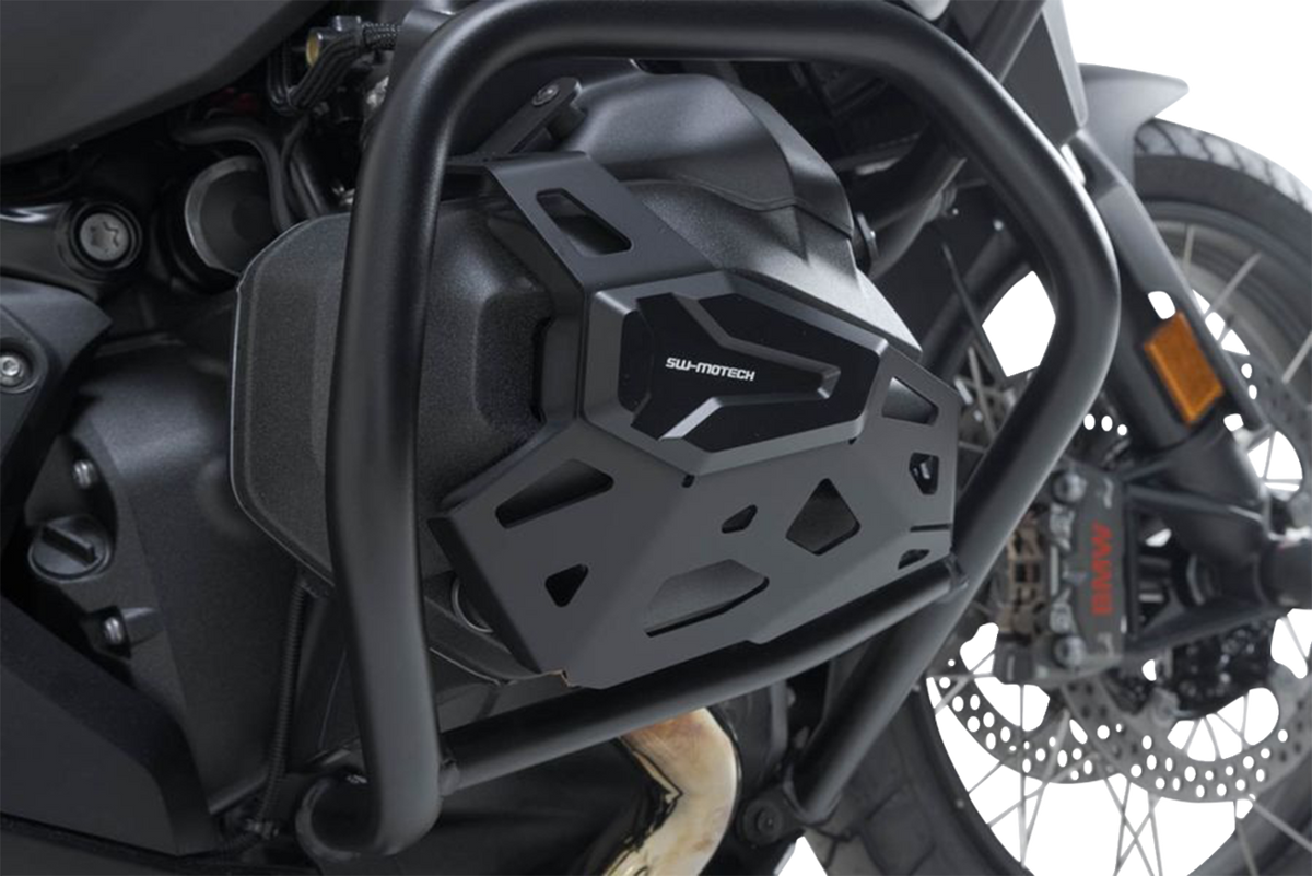 Cylinder Guard - Black - BMW - R