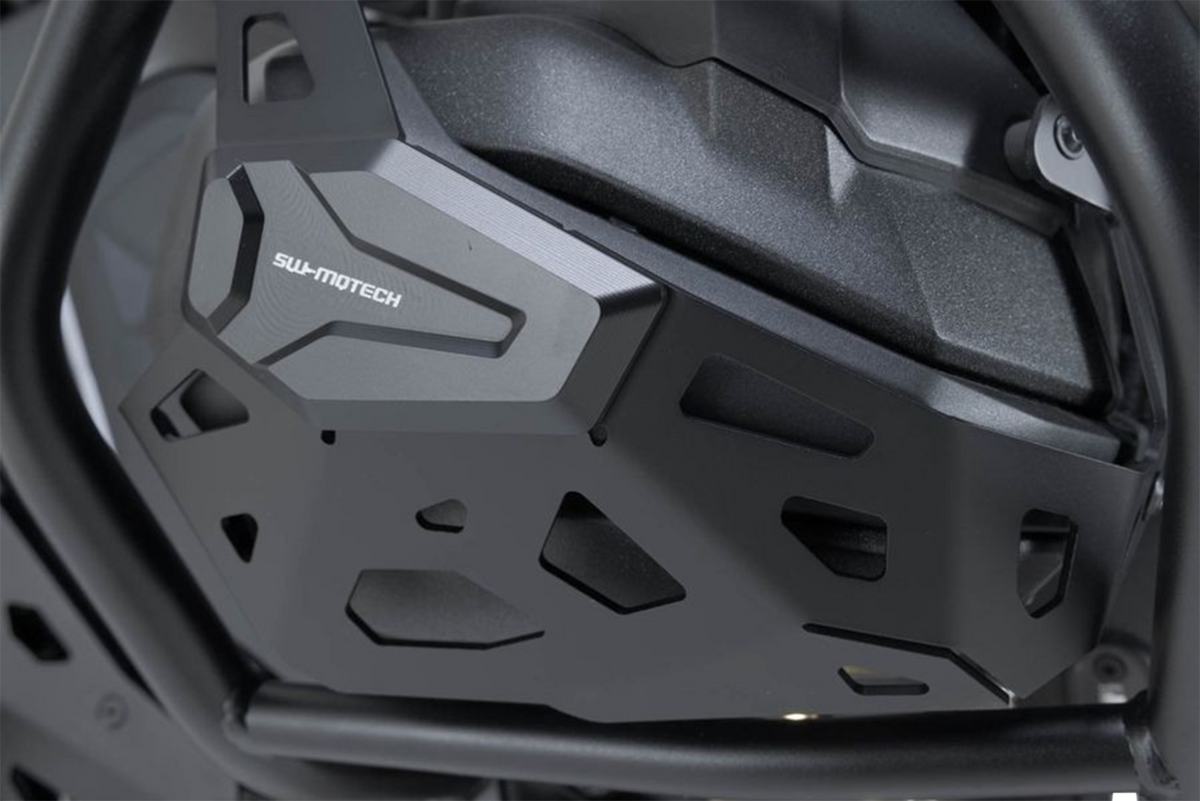 Cylinder Guard - Black - BMW - R