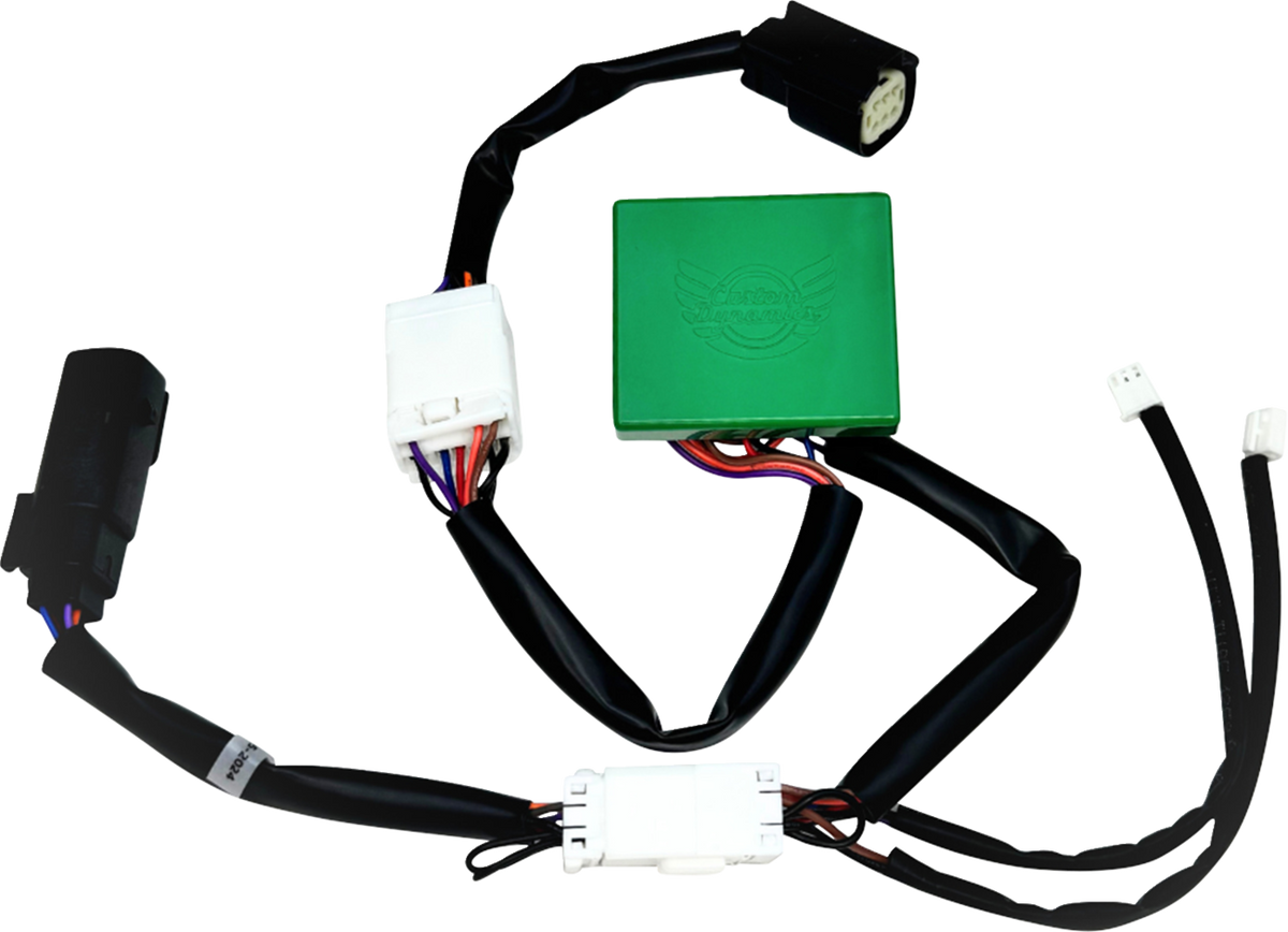 SMART Triple Play® Module - '10-'13 FLTRX/FLHX