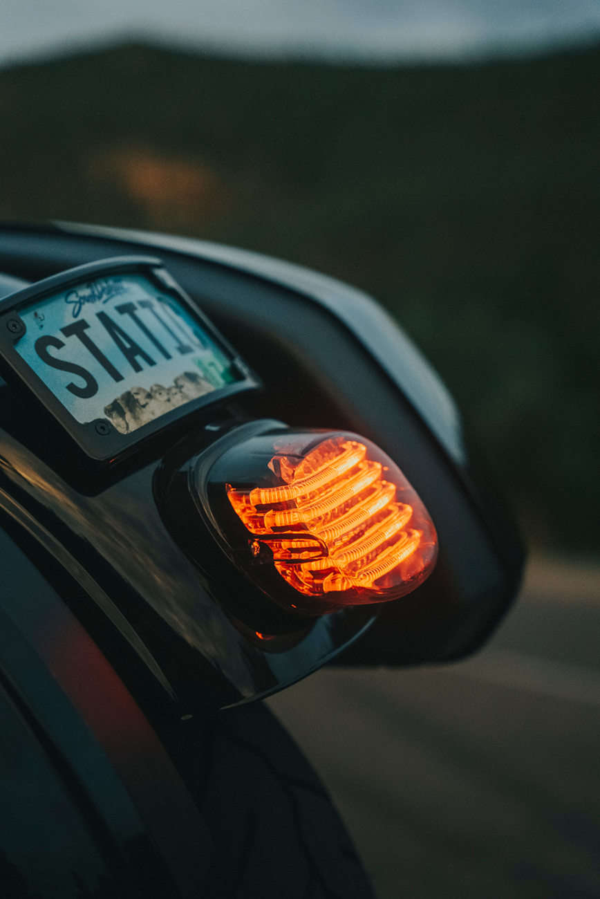 ProBEAM® Low-Profile LED Taillight Kit — With No Tag Light