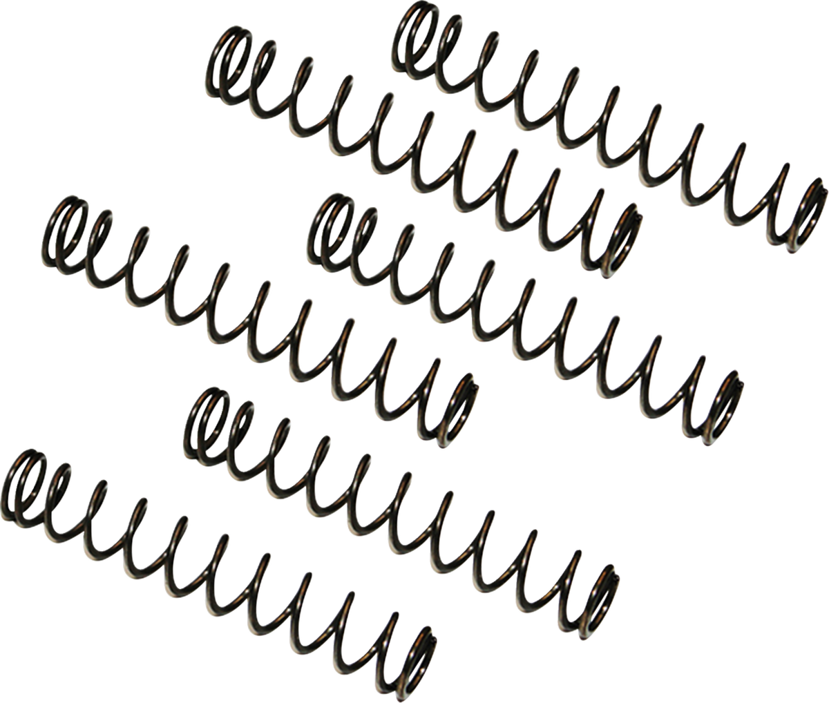 Camplate Pressure Relief Spring - Twin Cam Engine Camplates '99-'17
