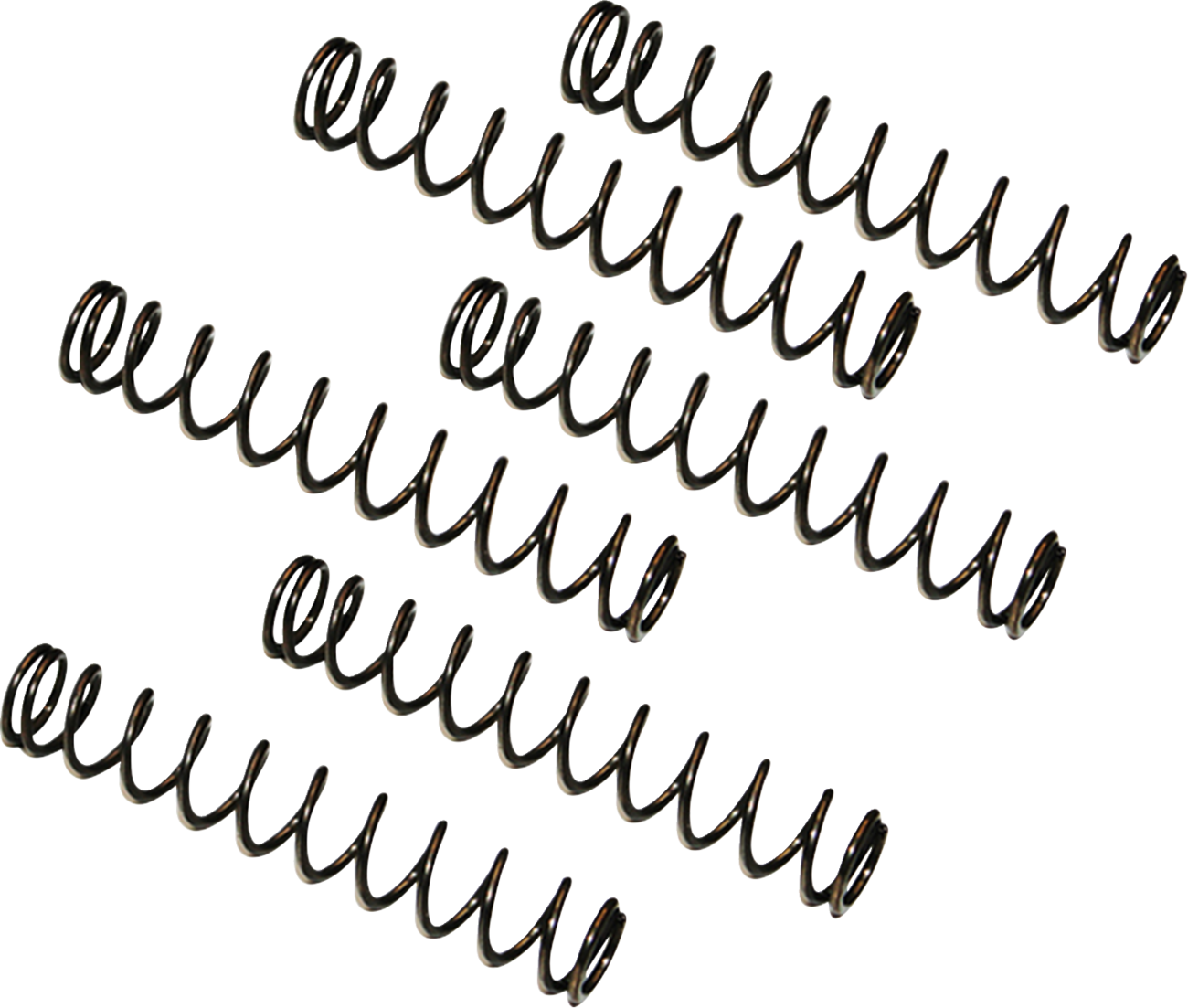 Camplate Pressure Relief Spring - Twin Cam Engine Camplates '99-'17