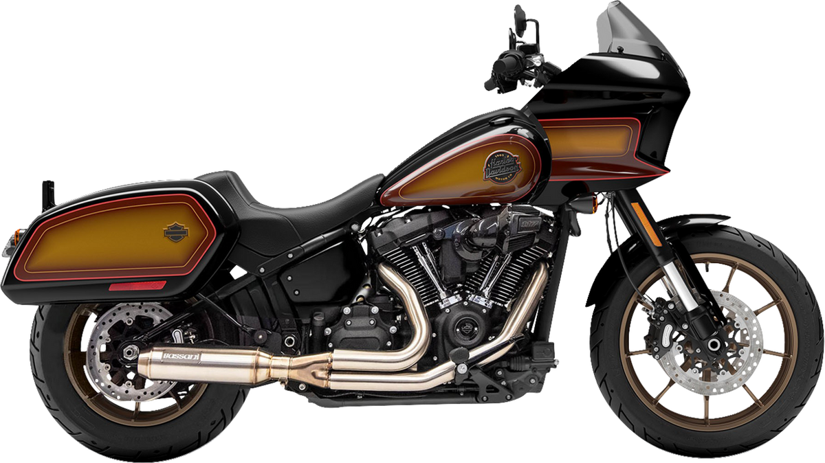 2-Into-1 Stainless Exhaust System With 4" Super Bike Muffler