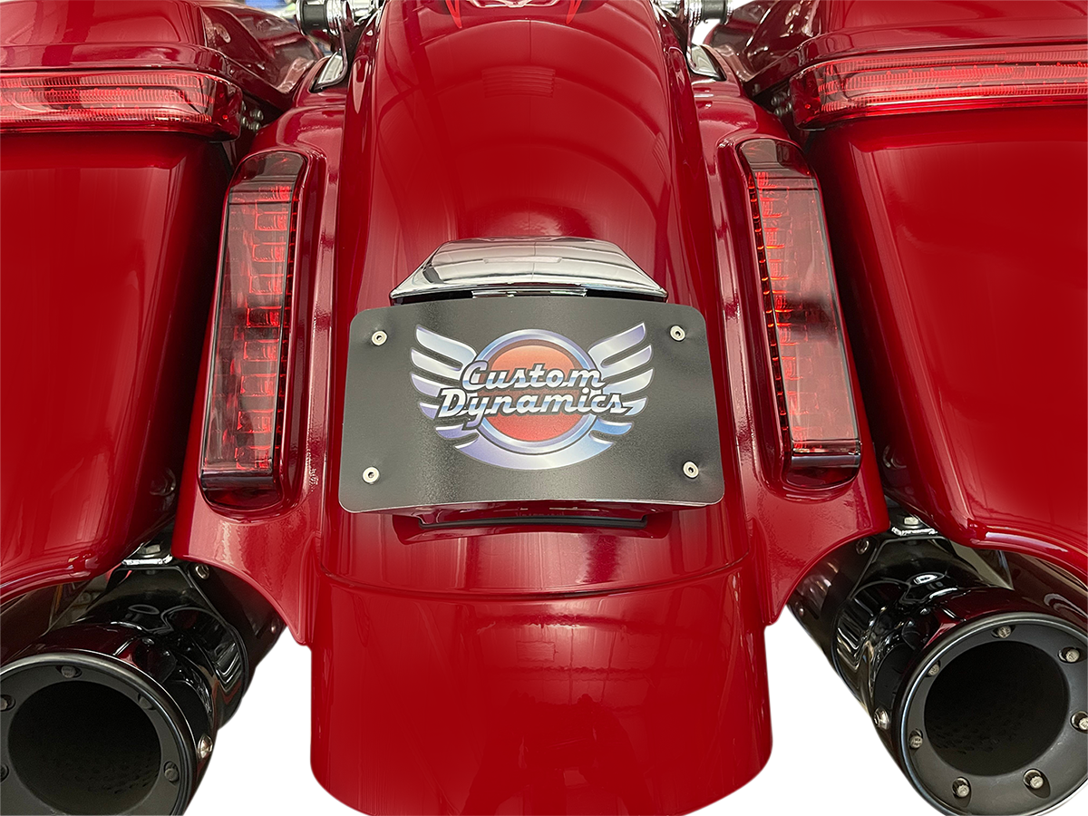 Radius License Plate Mount Assembly For CVO™