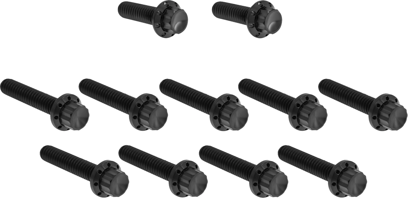 Bolt Kit - Cam Cover/Point Cover - Titanium - 12-Point - Black