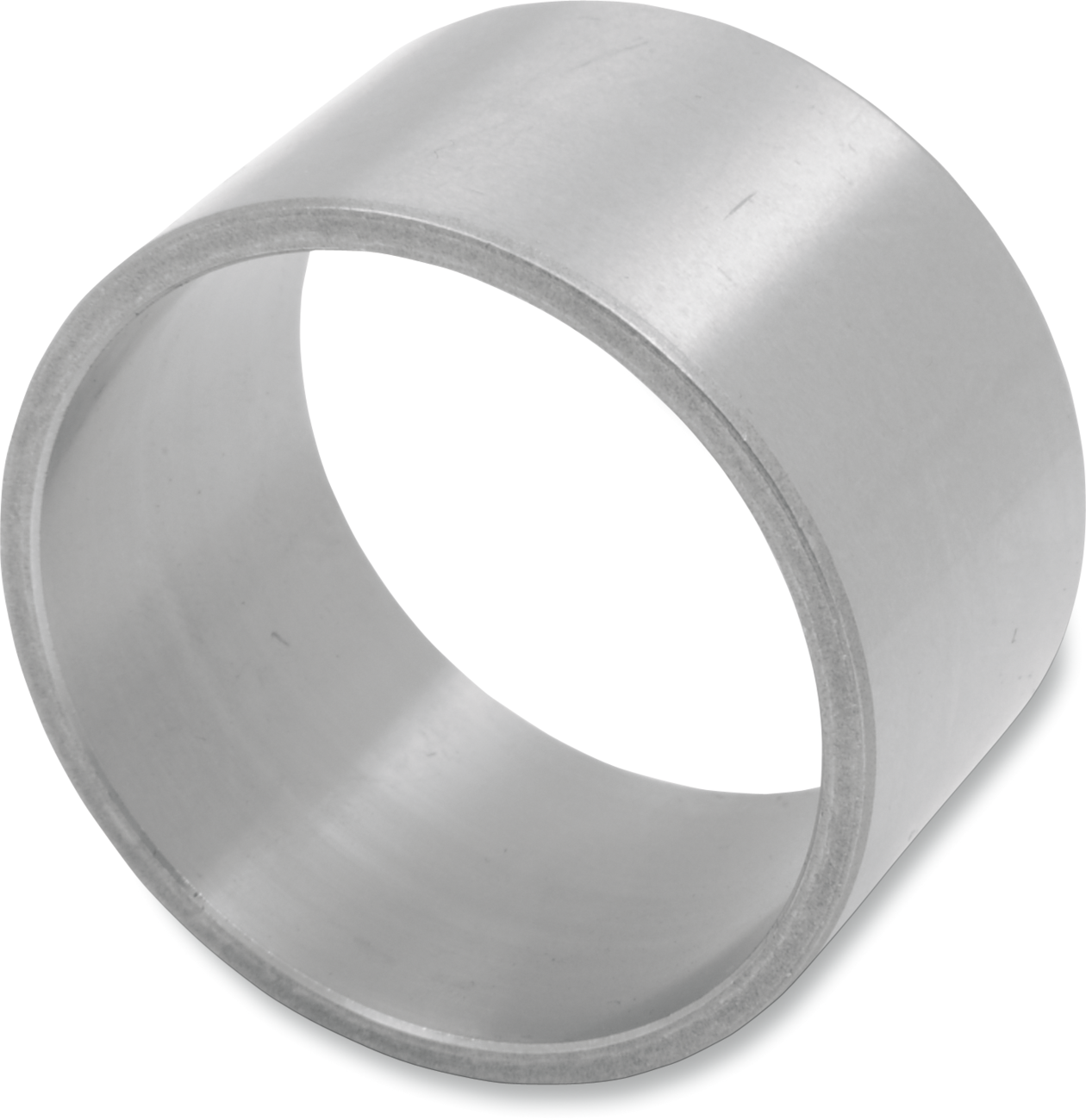 Right Side Crankcase Bearing Race - Standard - Sportster