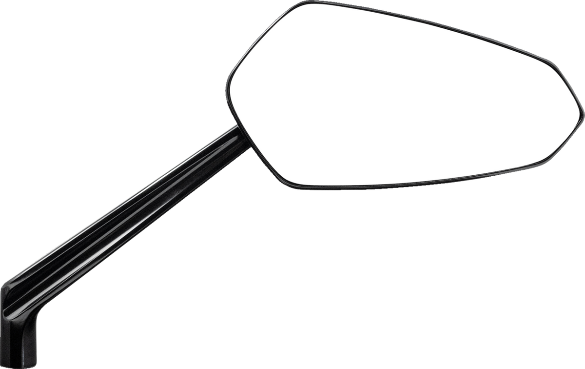 Ascent Pro Mirror