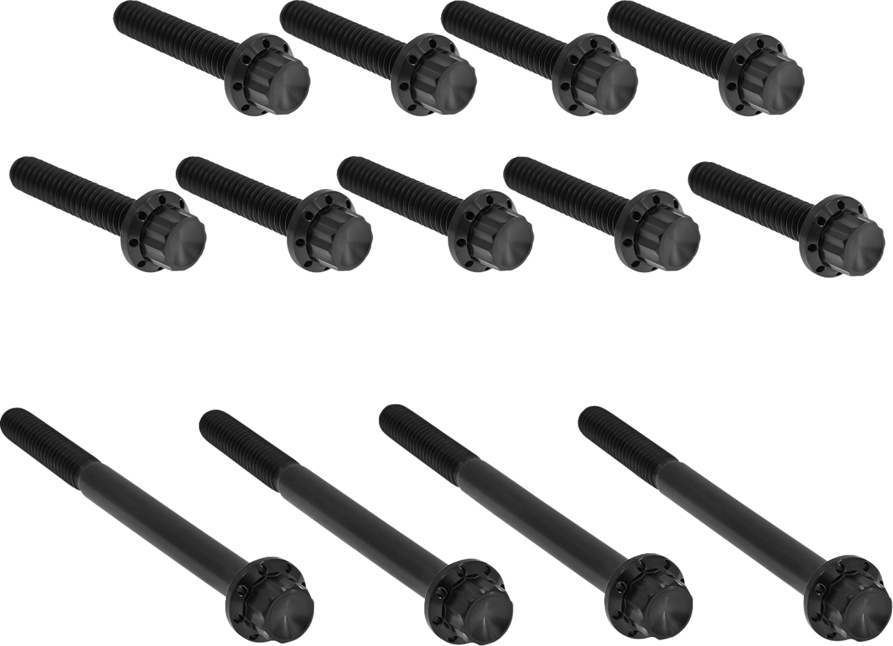 Bolt Kit - Primary Cover - Titanium - 12-Point - Twin Cam - Black