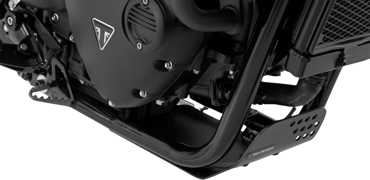 Engine Guard - Black - Triumph