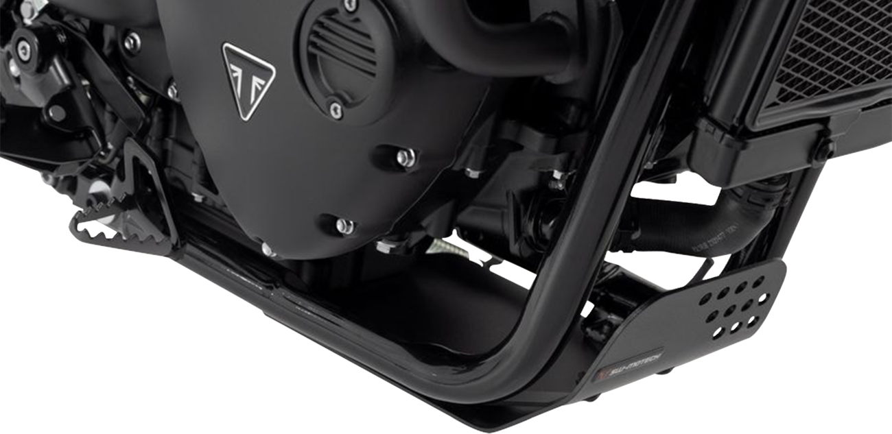 Engine Guard - Black - Triumph