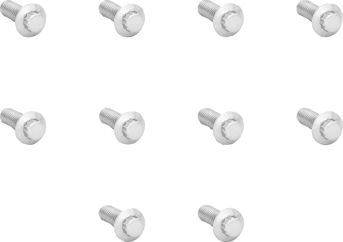 Bolt Kit - Rotor - 12-Point - Polished Stainless