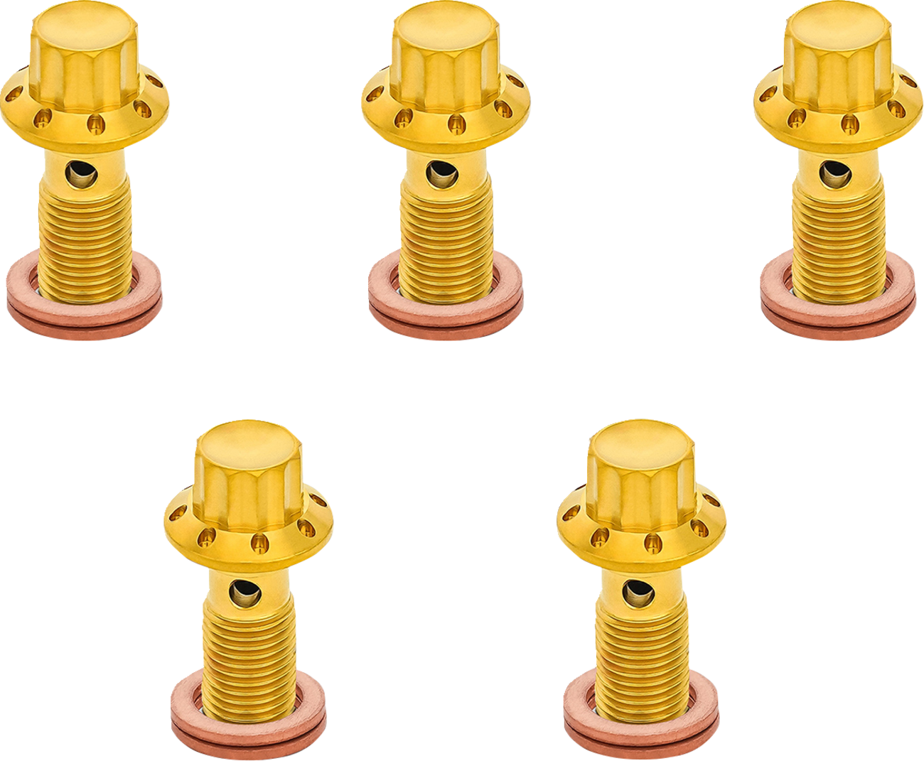 Banjo Bolt 5-Pack - M10x1.25 - Gold