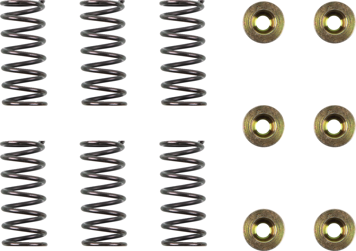 Clutch Spring Kit