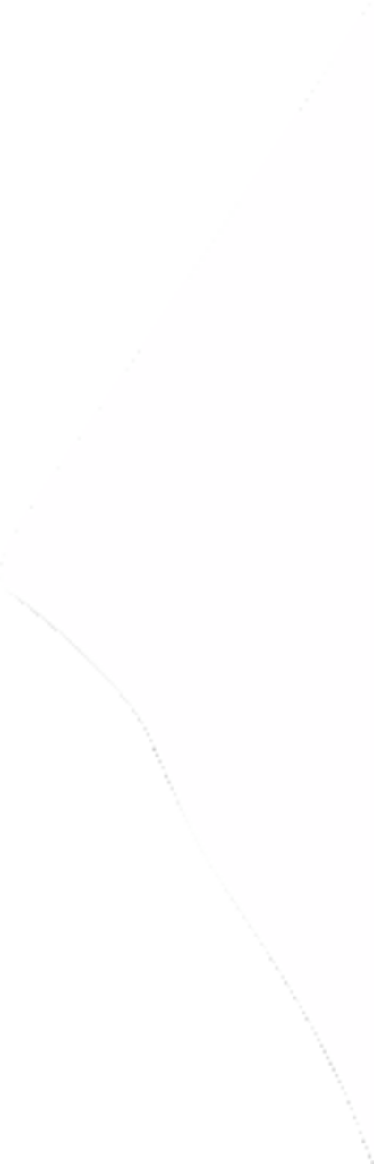 Turn Signal - Black