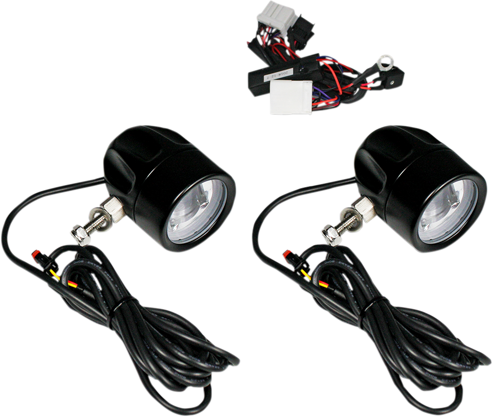 Fog Light - Black - Clear Lens