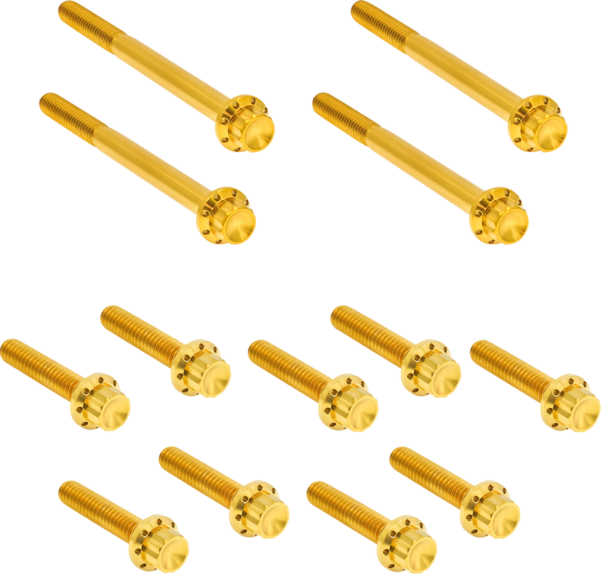Bolt Kit - Primary Cover - Titanium - 12-Point - FLT - Gold