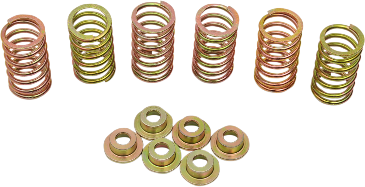 Clutch Spring Kit