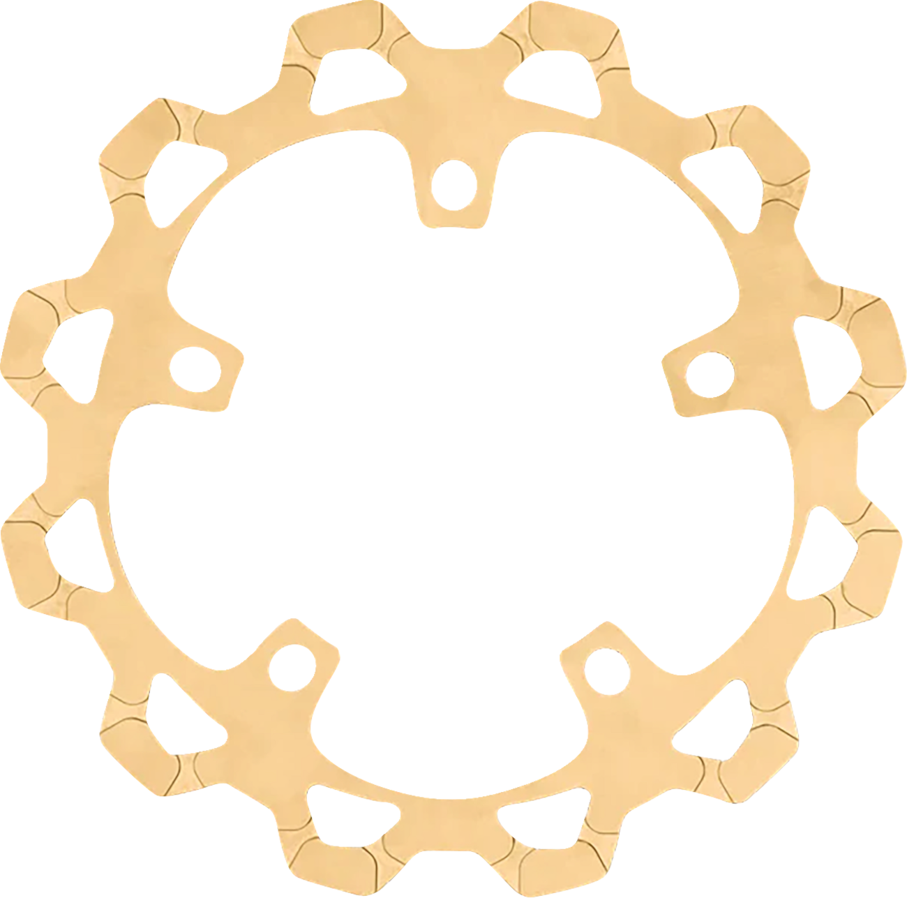 Front Brake Rotor