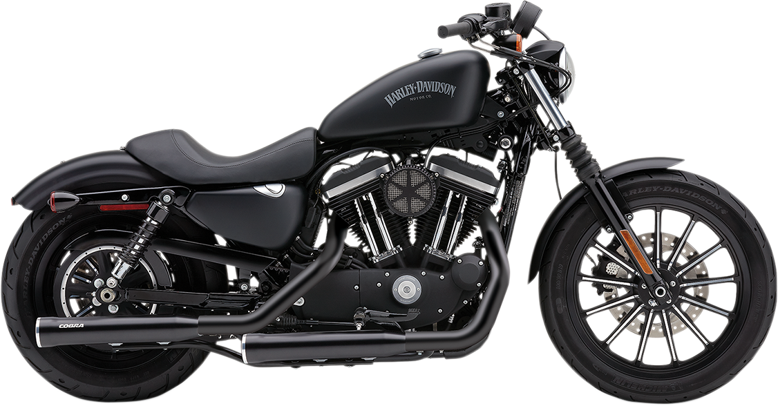Slip-On Mufflers With Race-Pro Tips - 3" - Black - '14-'22 XL