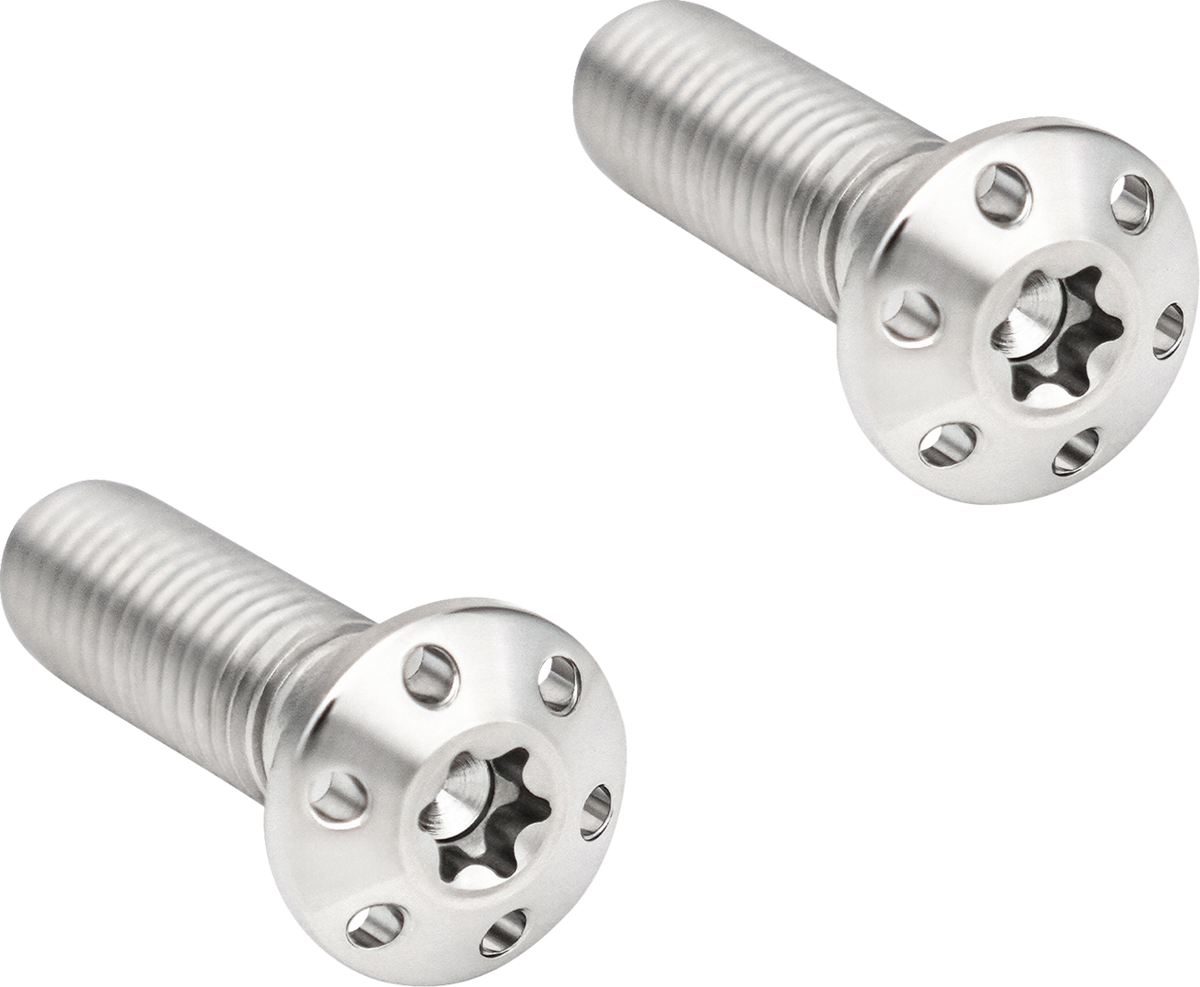 Mounting Bolts - Polished