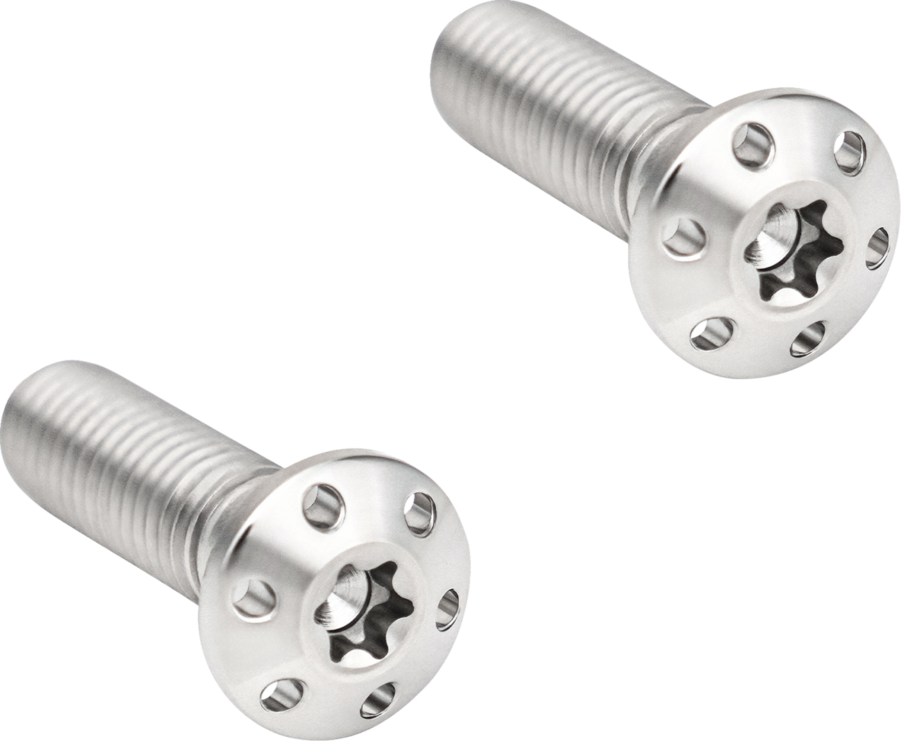 Mounting Bolts - Polished