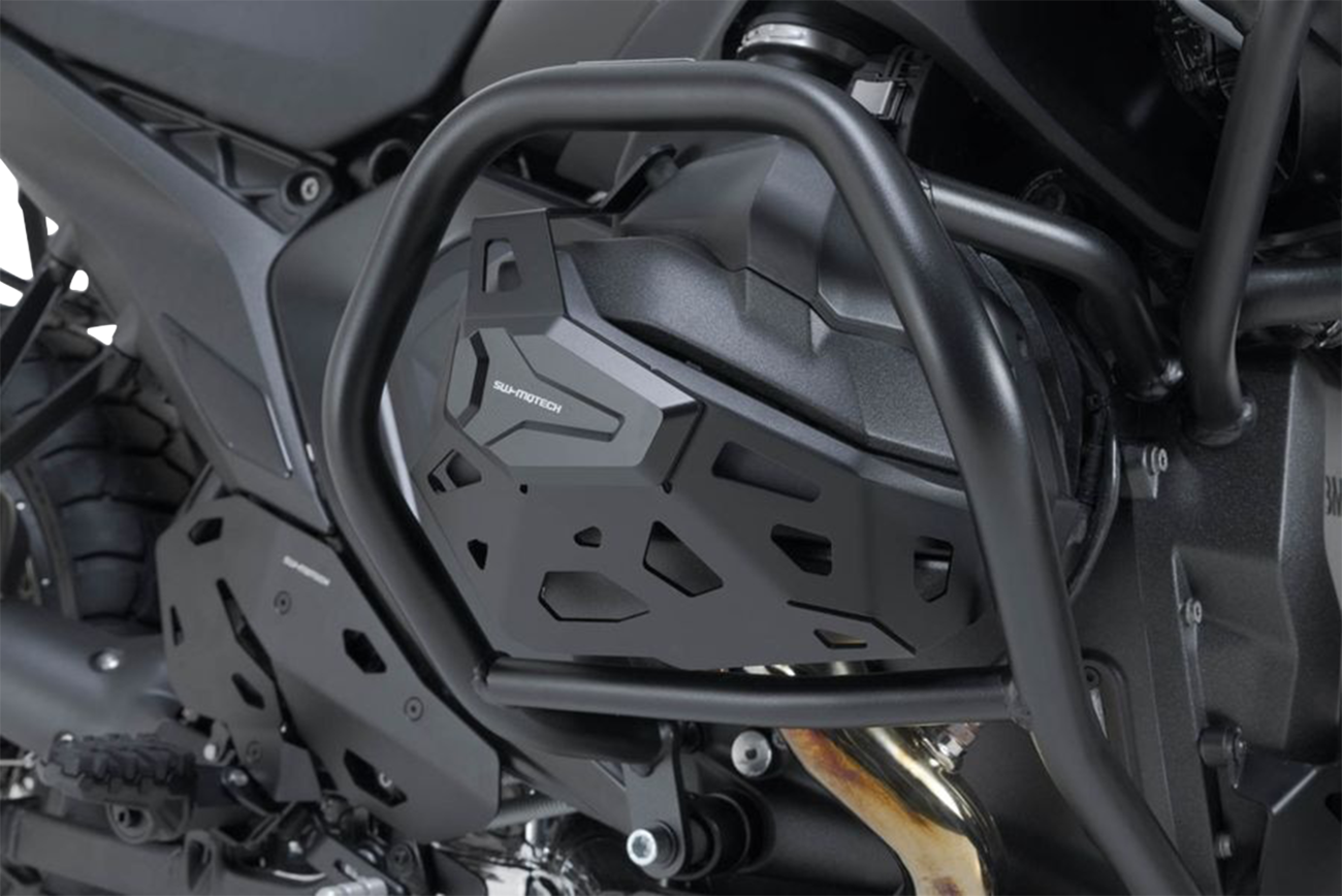 Cylinder Guard - Black - BMW - R