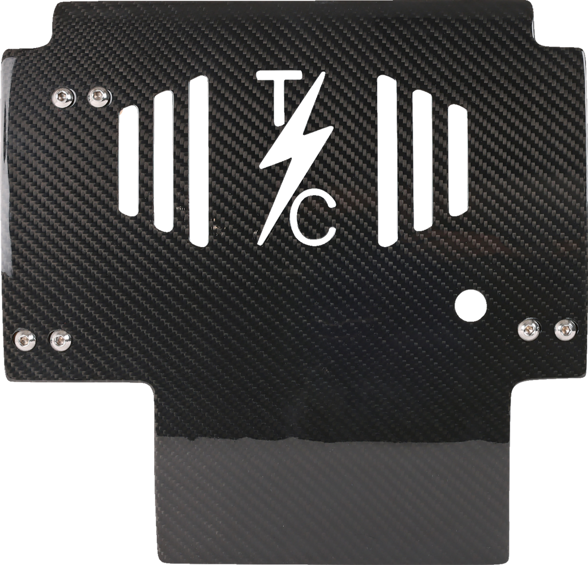 Skid Plate - Carbon Fiber/Gloss - With Gold Brackets - FLHX/FLTRX