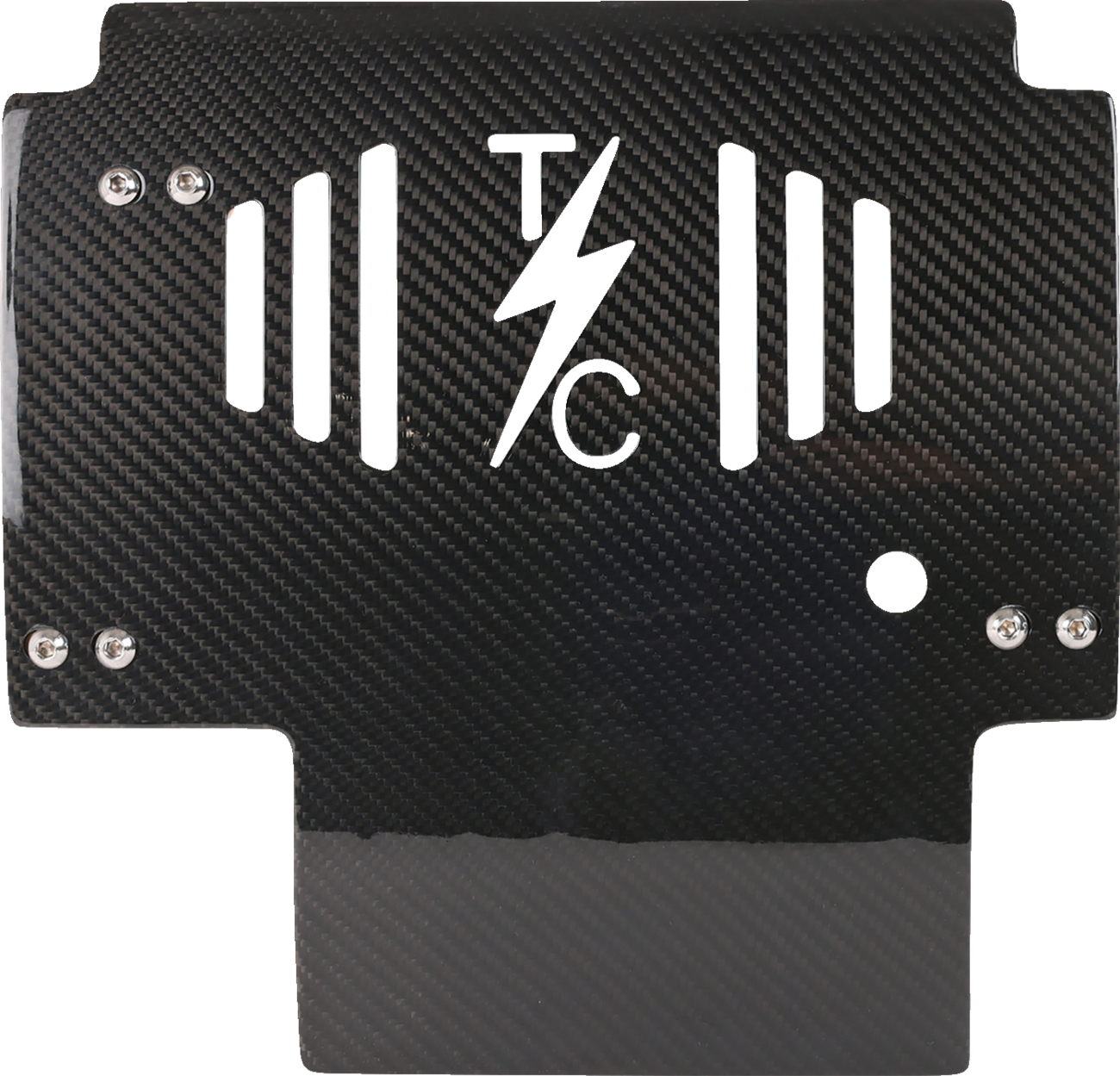 Skid Plate - Carbon Fiber/Gloss - With Gold Brackets - FLHX/FLTRX