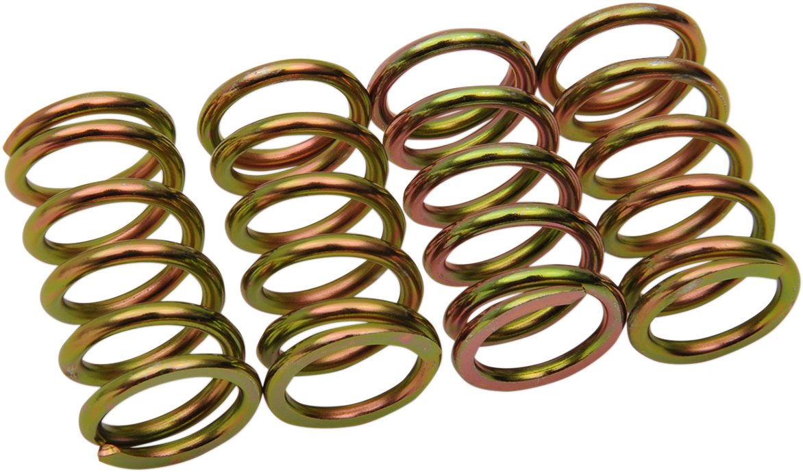 Clutch Springs - Honda/KTM/Suzuki