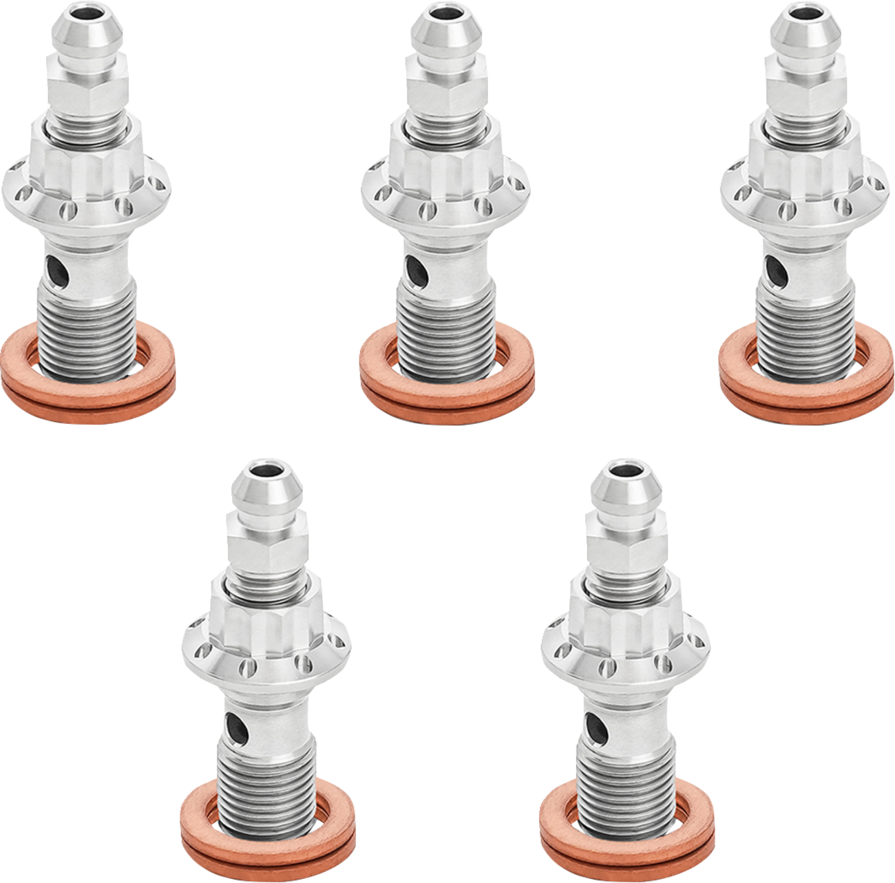 Banjo Bolt 5-Pack - 10mm - Polished