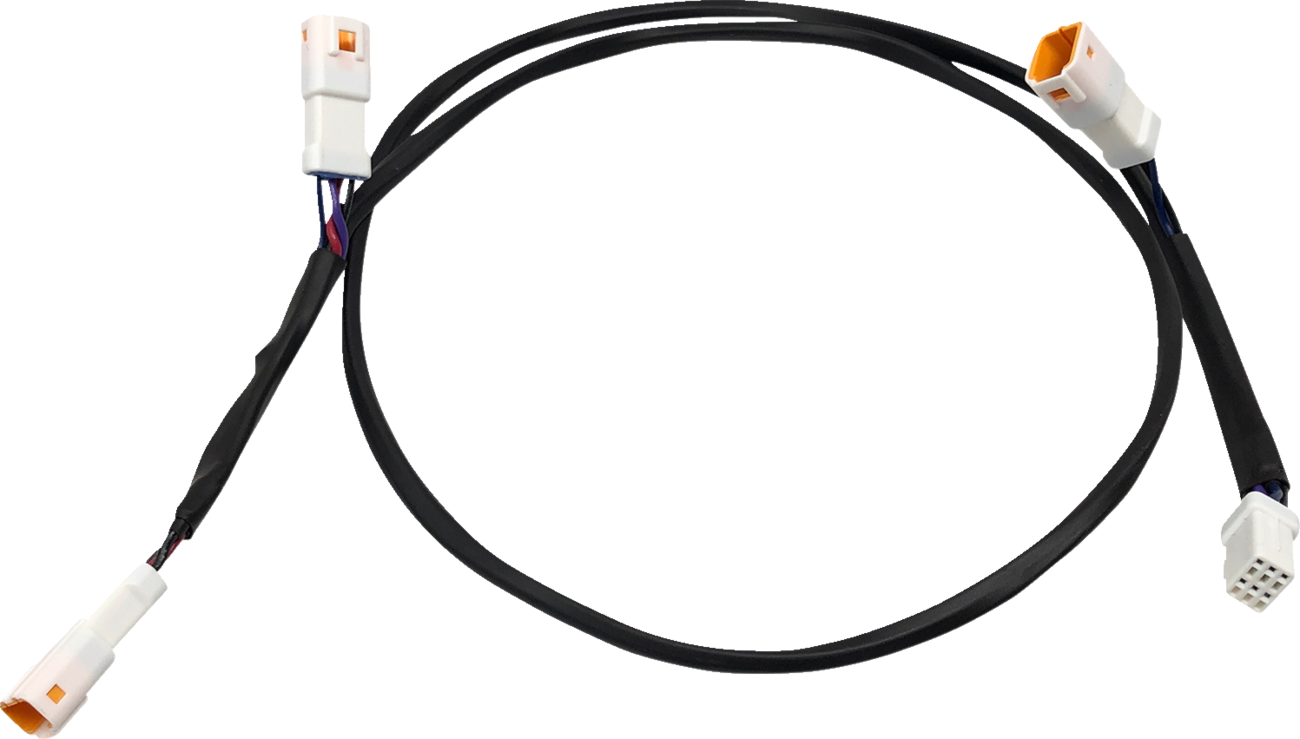 Wiring Harness - Rear - Sportster S