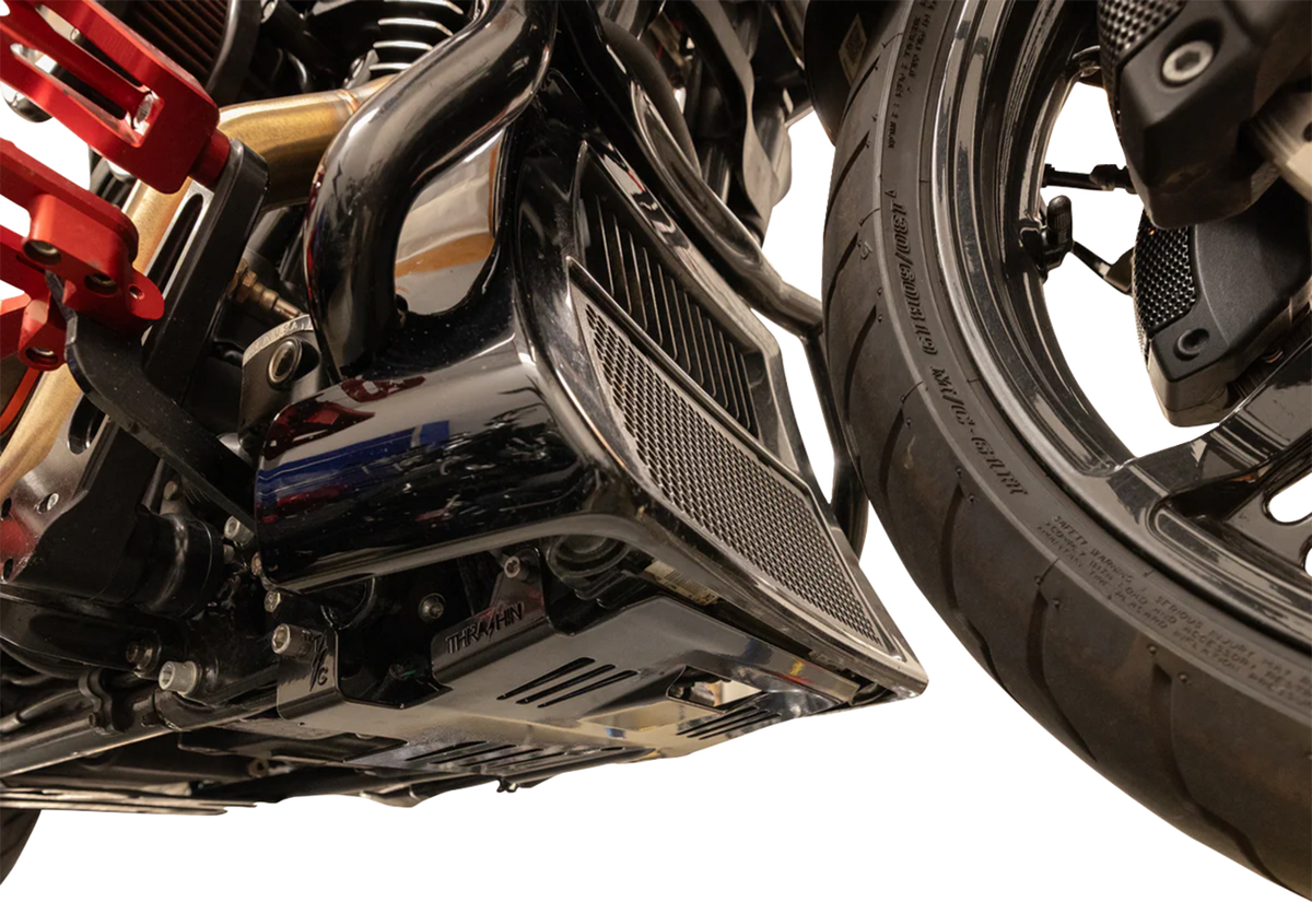 Skid Plate - Black - HD Touring