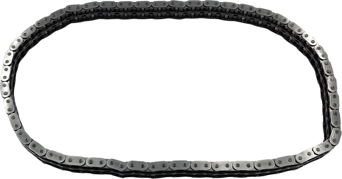 Primary Chain - '80-'06 Touring/FXR