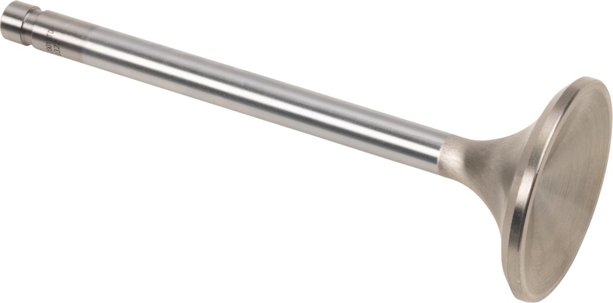 Replacement Stainless Steel Valves For S&amp;S Heads