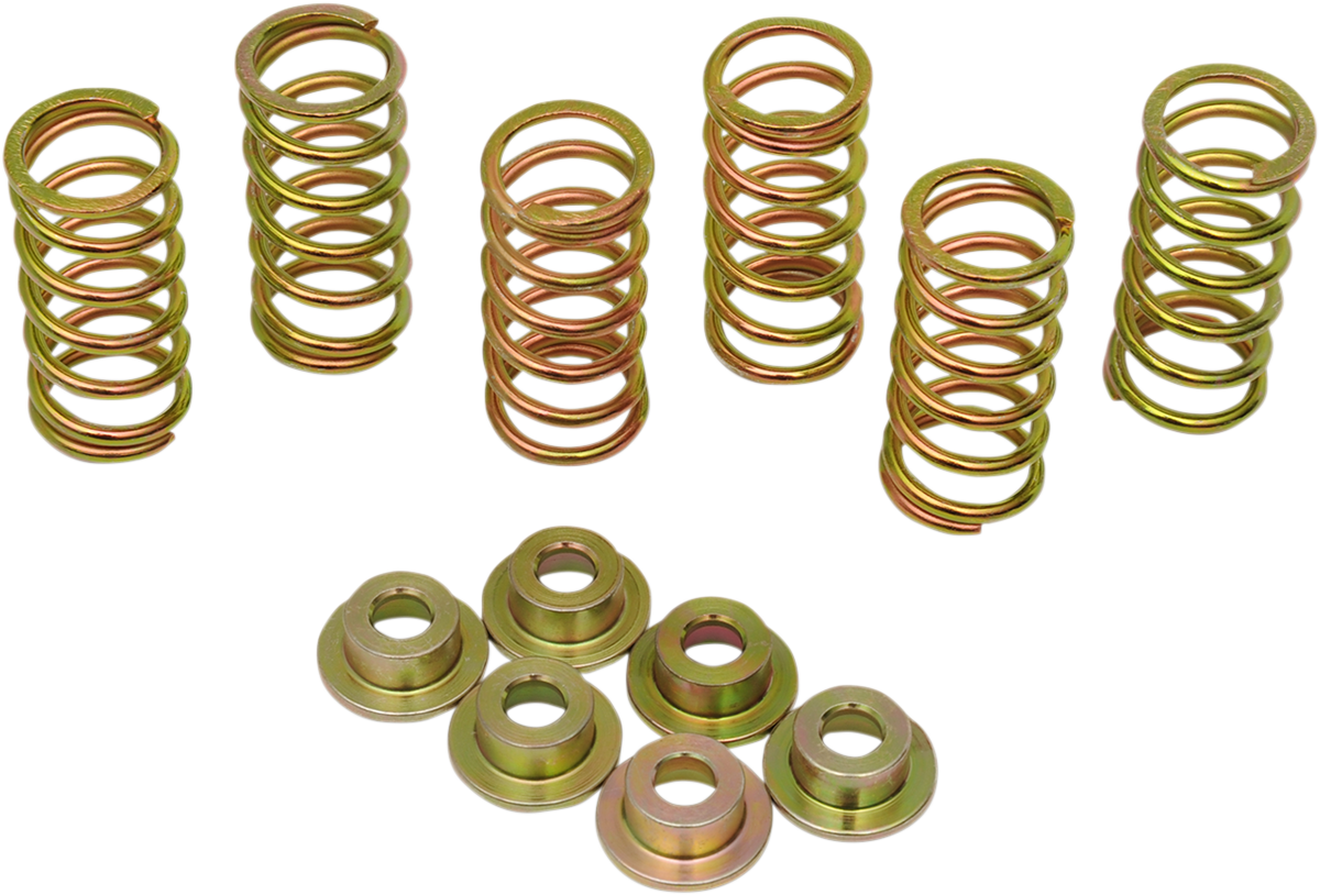 Clutch Spring Kit