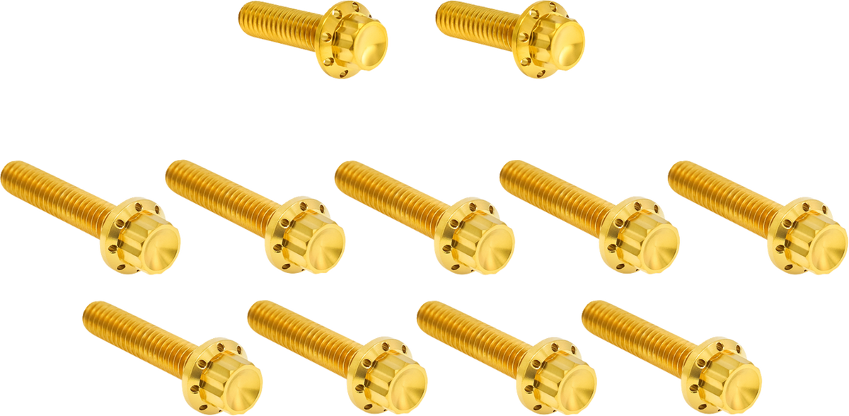 Bolt Kit - Cam Cover/Point Cover - Titanium - 12-Point - Gold