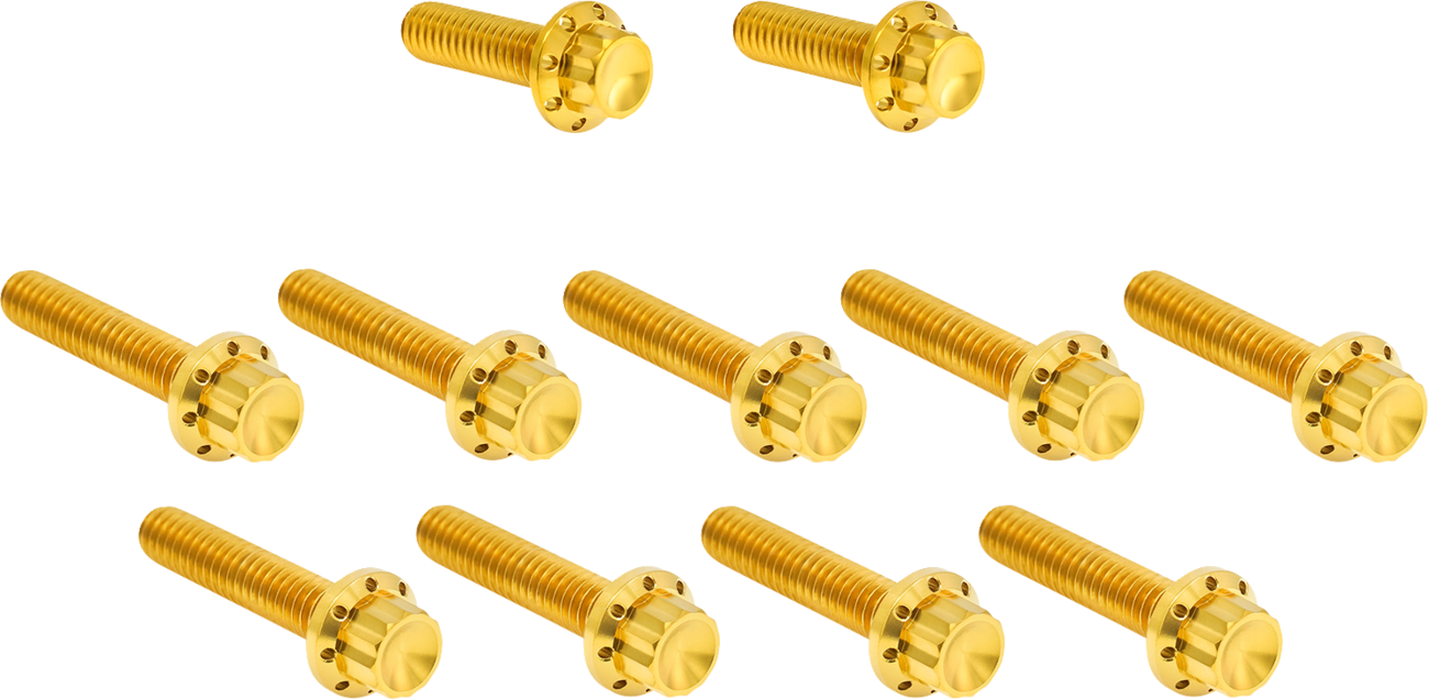 Bolt Kit - Cam Cover/Point Cover - Titanium - 12-Point - Gold