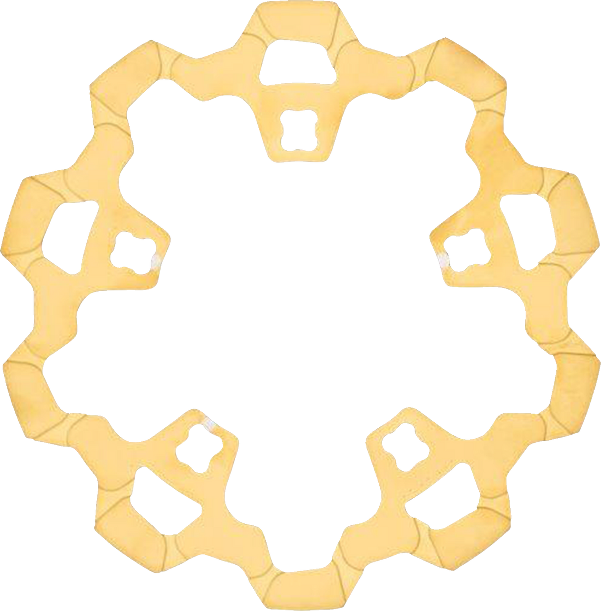 Front Brake Rotor