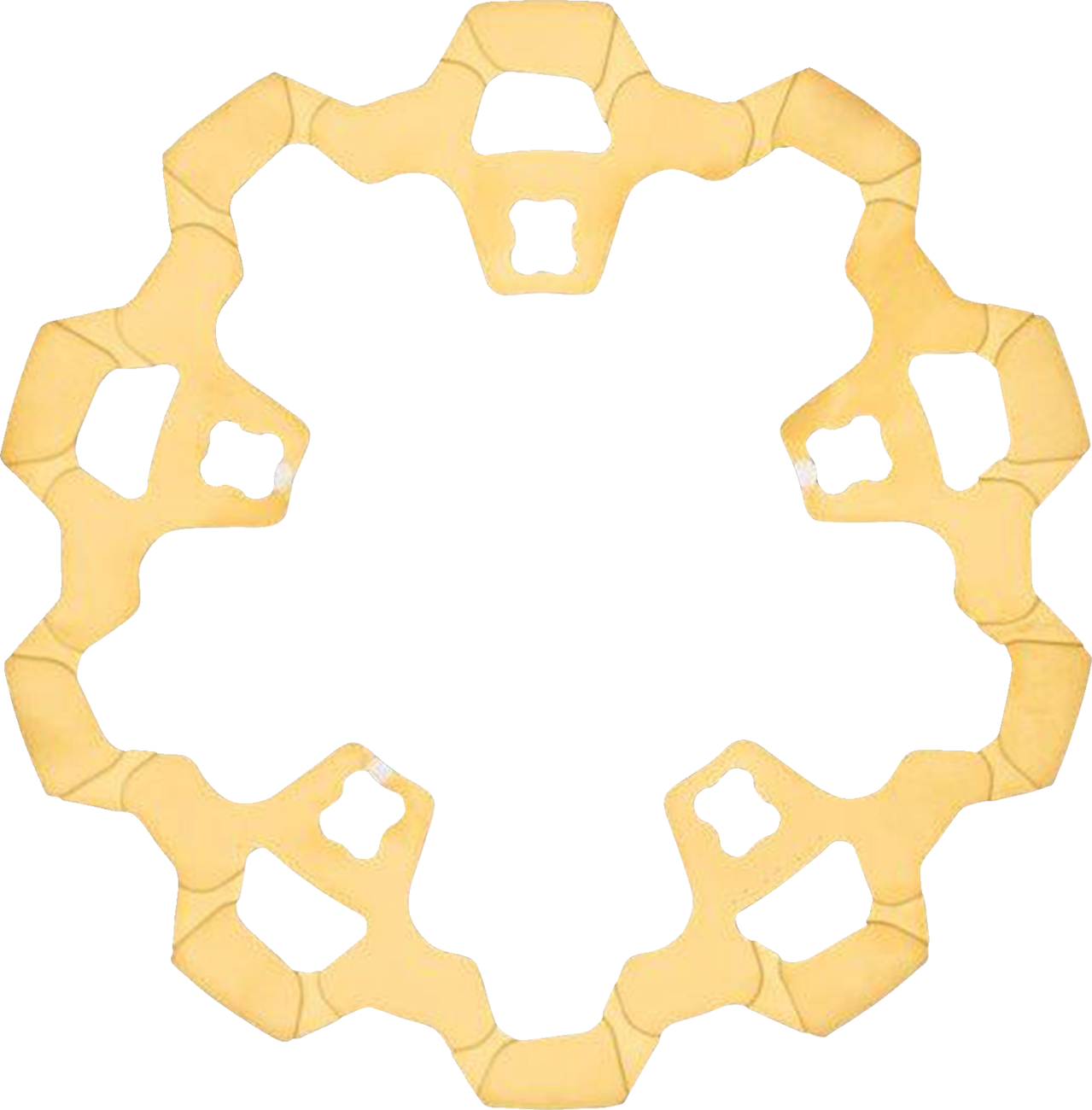 Front Brake Rotor