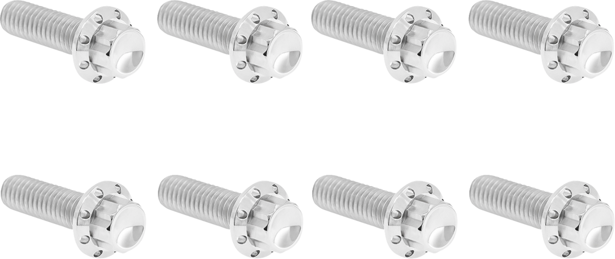 Transmission Trap Door Titanium 12-Point Bolt Kit — For M8 Models